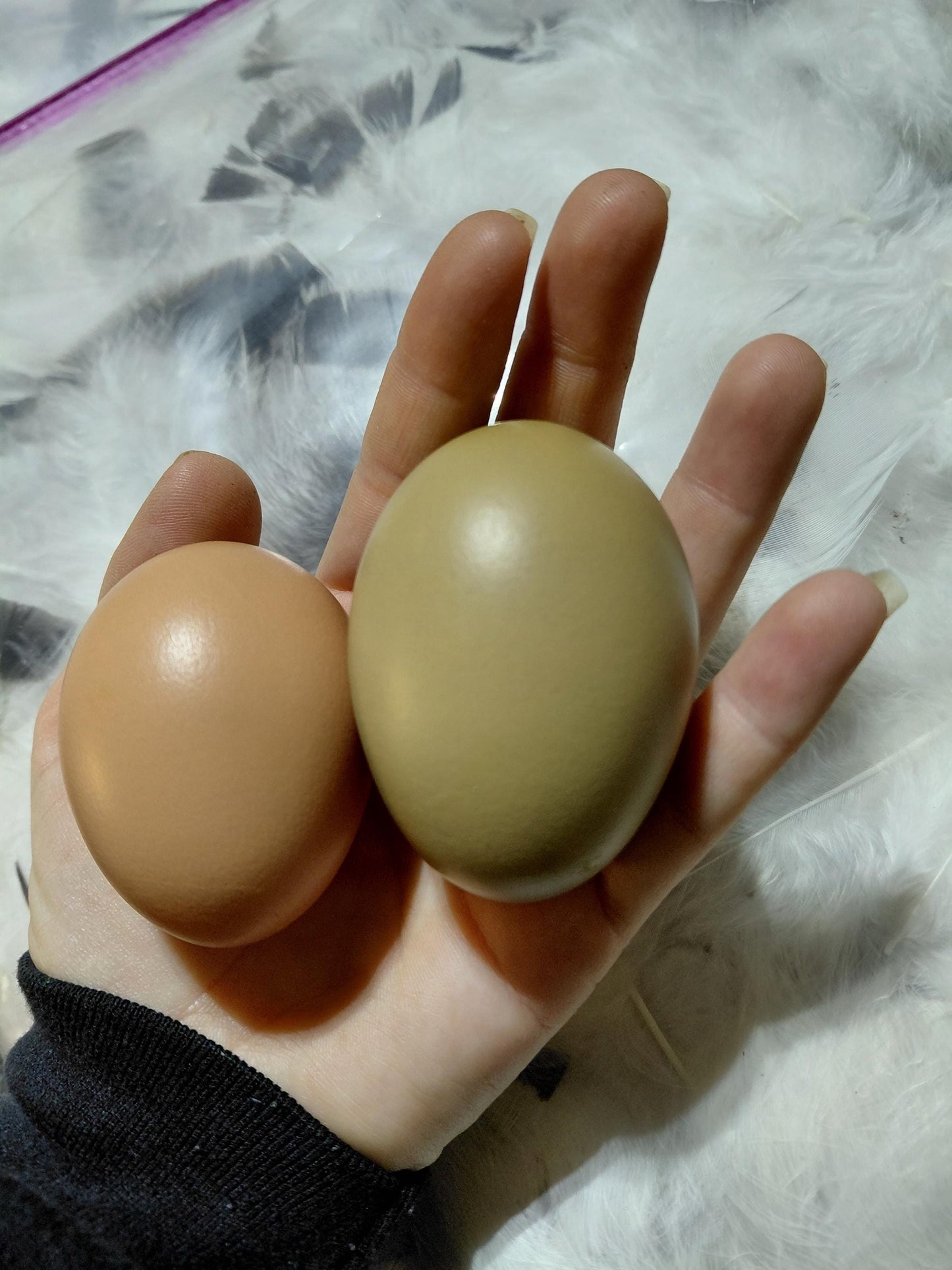 18+ Barnyard Rainbow Chicken Eggs