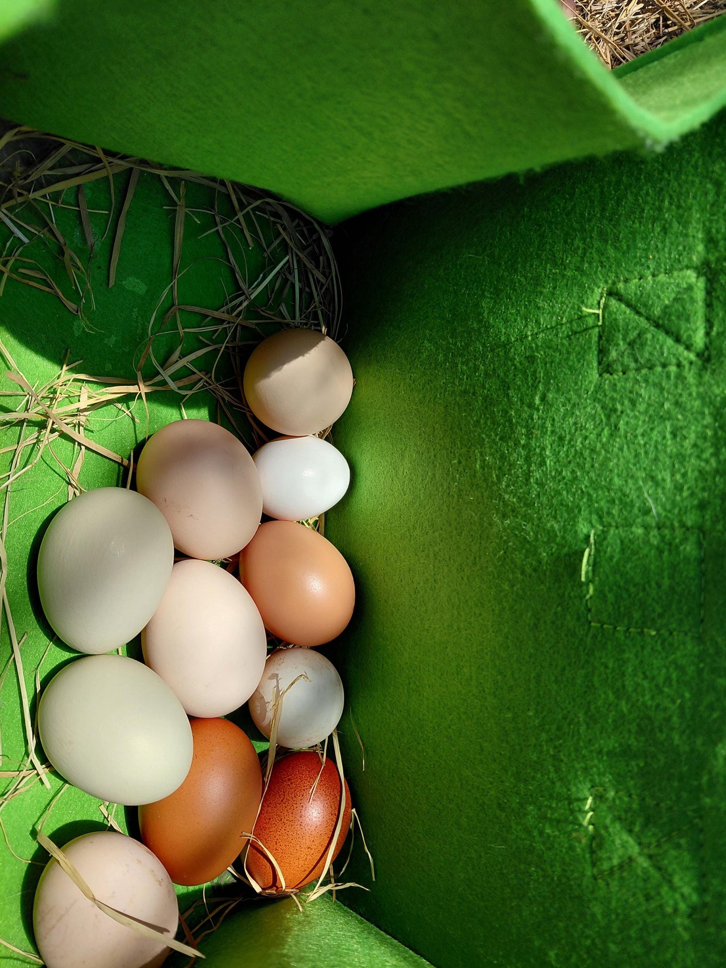 18+ Barnyard Rainbow Chicken Eggs