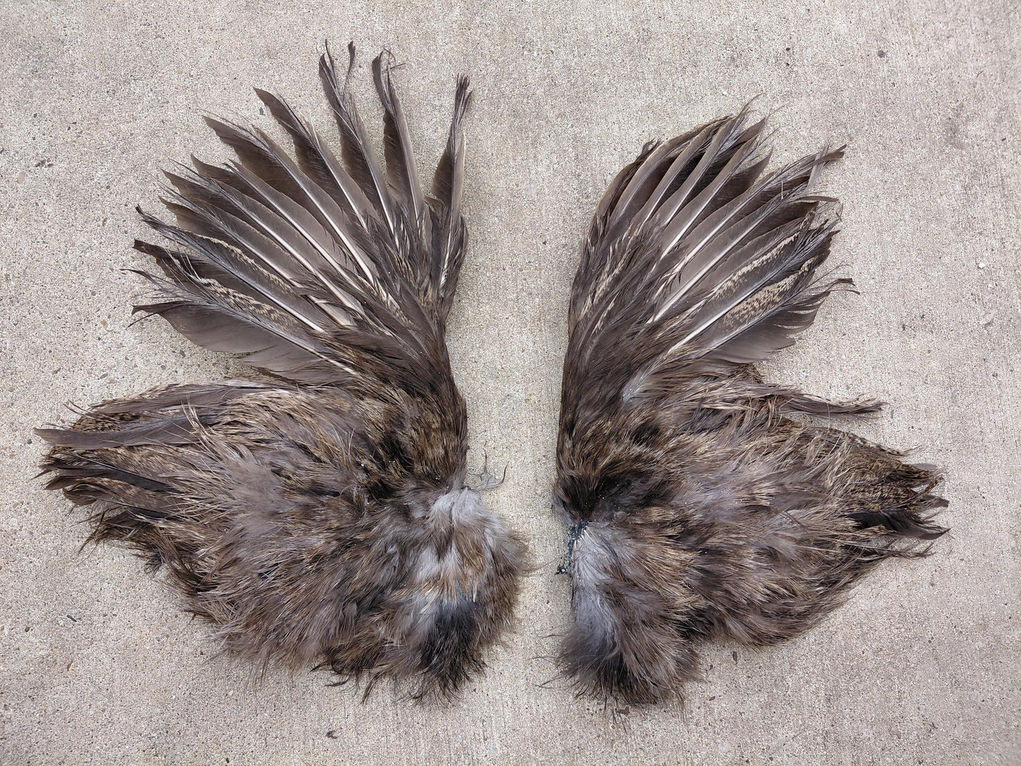 Cured Small Gray Chicken Wings