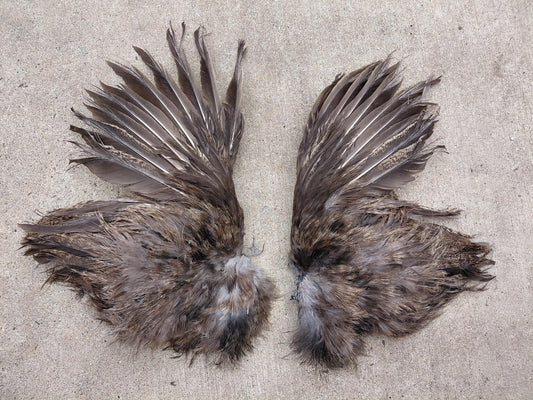 Cured Small Gray Chicken Wings